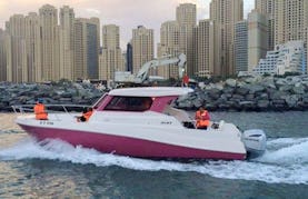 Rent this Pink Silver Craft 31 Cuddy Cabin in Dubai, UAE