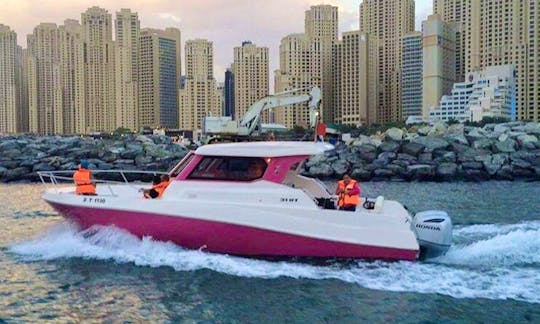 Rent this Pink Silver Craft 31 Cuddy Cabin in Dubai, UAE