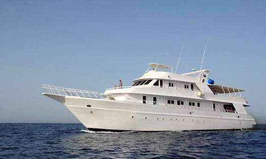 Tour in Style on a Power Mega Yacht in Red Sea Governorate, Egypt