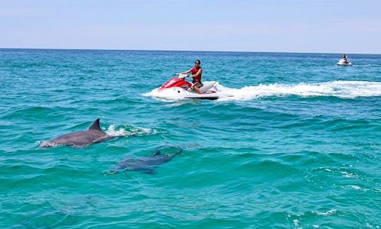 Jetski Waverunner Dolphin Tour in Mary Esther, Florida