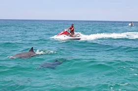 Jetski Waverunner Dolphin Tour in Destin, FL
