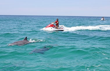 Jetski Waverunner Dolphin Tour in Destin, FL