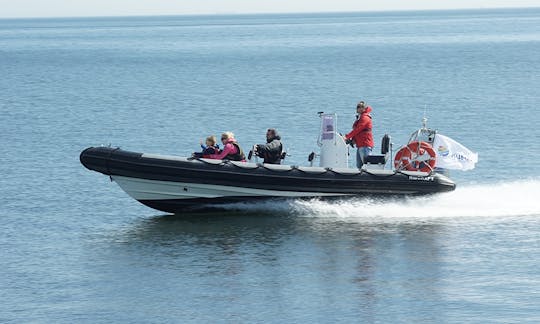 RIB motorboat for rent with skipper in Gdynia | 3city | Poland