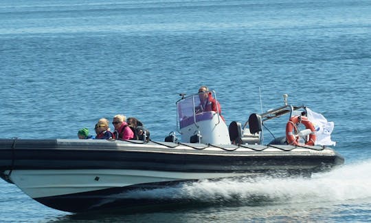 RIB motorboat for rent with skipper in Gdynia | 3city | Poland