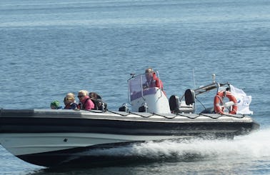 RIB motorboat for rent with skipper in Gdynia | 3city | Poland