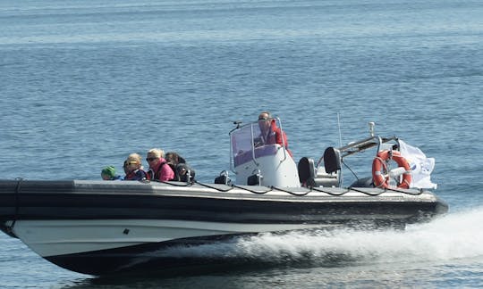 RIB motorboat for rent with skipper in Gdynia | 3city | Poland