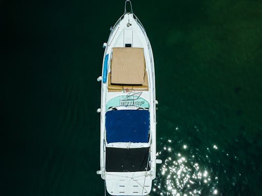 Superbe yacht à moteur Sea Ray de 42 pieds