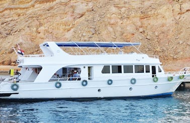 Charter 69' Balena Power Mega Yacht in Sharm El Sheikh, Egypt