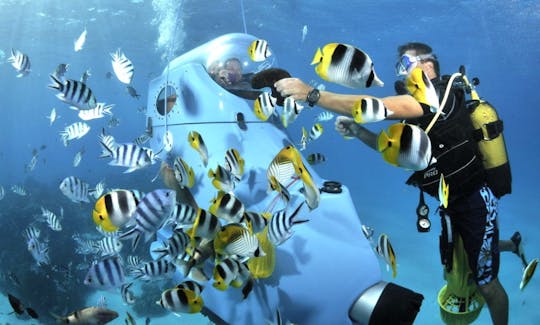Experiencia submarina inolvidable en Bora Bora, Polinesia Francesa