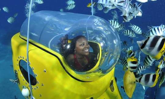 Experiencia submarina inolvidable en Bora Bora, Polinesia Francesa