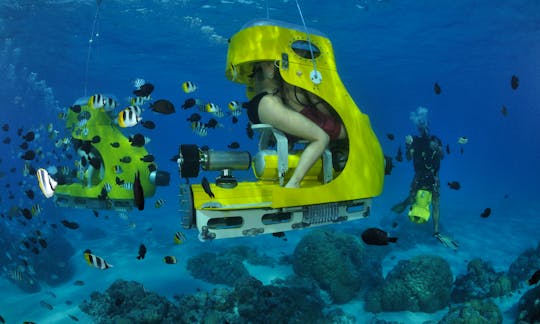 Unforgettable Underwater Experience in Bora Bora, French Polynesia