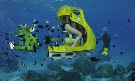 Experiencia submarina inolvidable en Bora Bora, Polinesia Francesa