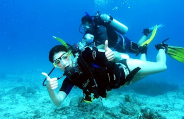 Enjoy Diving Trips in Panaji, Goa