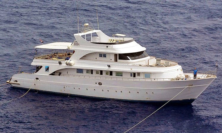 118 Seawolf Soul Liveaboard Dive Boat In Egypt Getmyboat 118 Seawolf Soul Liveaboard Dive Boat In Egypt Getmyboat