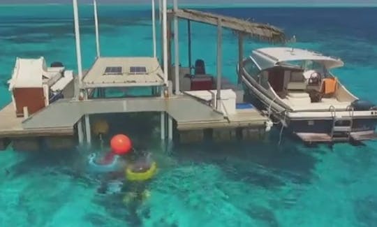 Underwater Scooter Adventure In Bora Bora, French Polynesia