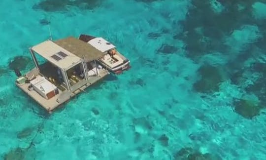 Experiencia submarina inolvidable en Bora Bora, Polinesia Francesa