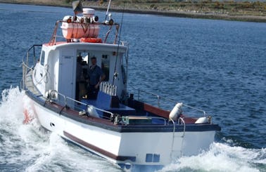 36' Ocean Tramp Fishing Charter In Kerry County