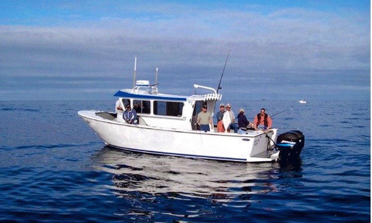 Bottom and Halibut Fishing Charter on 6 Person Fishing Boat in Gold Beach,  Oregon | GetMyBoat