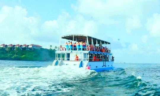 Enjoy your whale and dolphin watching holidays in Mirissa, Sri Lanka