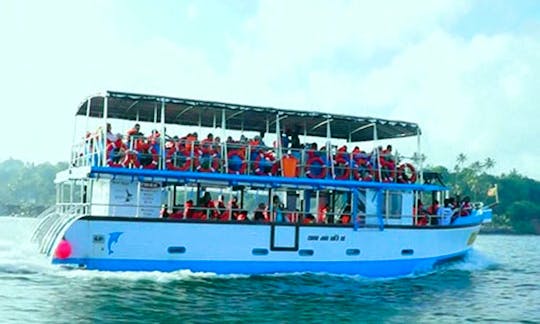 Enjoy your whale and dolphin watching holidays in Mirissa, Sri Lanka