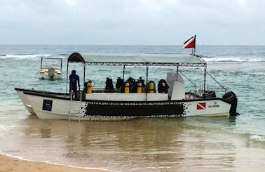 'Poseidon' Boat Diving & PADI Courses in Hikkaduwa