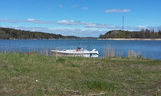 Divirta-se pescando em Turku, Finlândia!