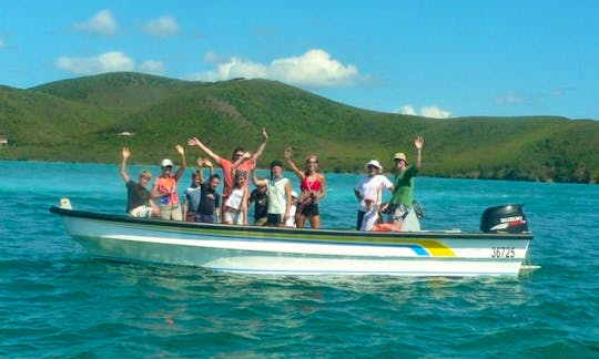 Guided Eco Tour in New Caledonia, La Roche Percée