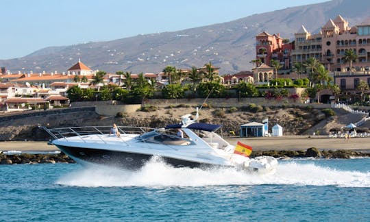 Luxury Private Sunseeker Porto Fino 46 - Charter in Costa Adeje - Pontoon 8