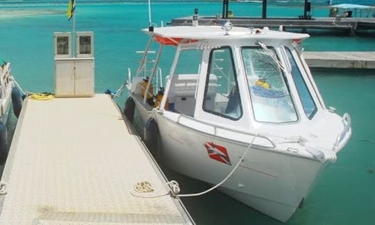 Dive Boat In Tikehau