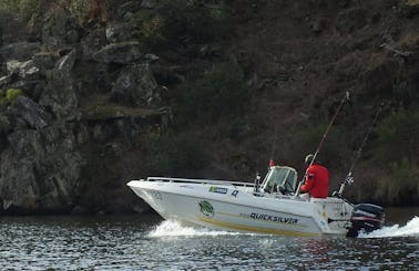 Enjoy Fishing in Coimbra, Portugal on Quicksilver 500 Center Console