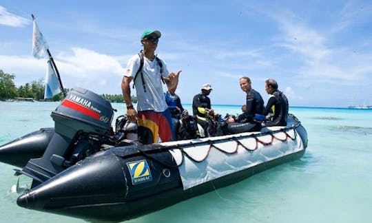 Viagens de mergulho RIB em Avatoru, Polinésia Francesa