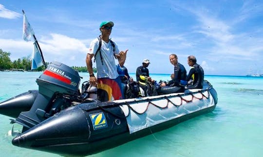 RIB Diving Trips in Avatoru, French Polynesia