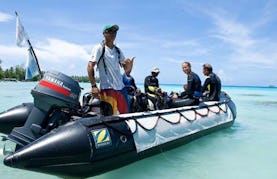 RIB Diving Trips in Avatoru, French Polynesia