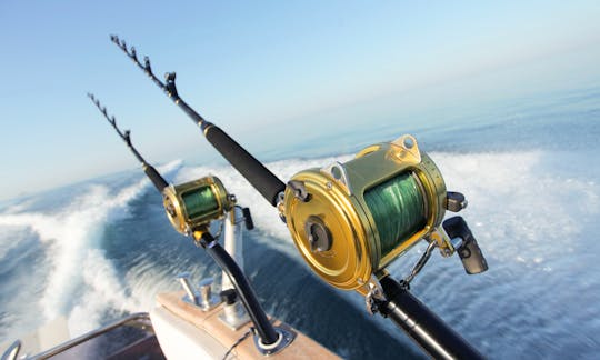 Enjoy Fishing in Açores, Portugal