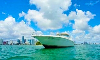 Book Your Time in Boston Today! Sea Ray Sundancer 500 Motor Yacht