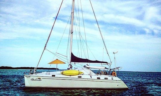 Charter 48' Privilege - Balindo Cruising Catamaran in Caribe Sur, Venezuela