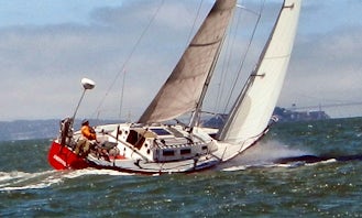 Cruising Monohull Half-Day Skippered Charter for 6 people in Emeryville, California