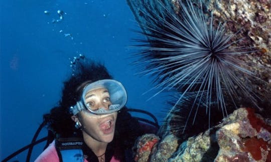 Suprise underwater, if you want to experience ScubaDiving - it's for free