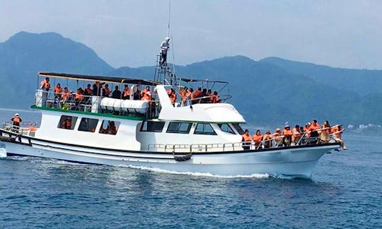 Thrilling Dolphin Tour in Hualien City, Taiwan