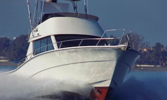 Rodman 1250 Sport Fishing Yacht Charter in Puerto Banús
