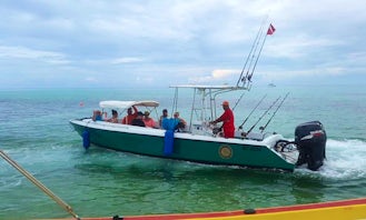 Snorkeling and Fishing Charters in San Pedro