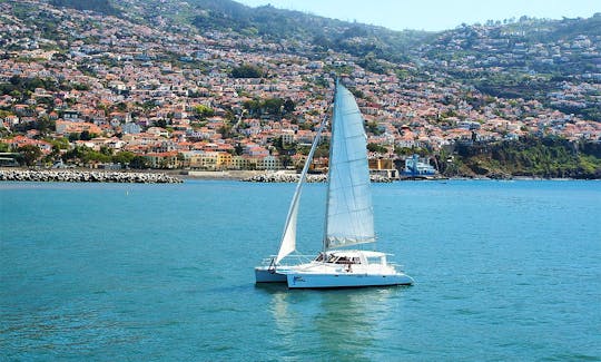 Dolphin and Whale Watching on a Sailing Catamaran from Funchal, Madeira