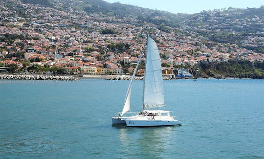 Dolphin and Whale Watching on a Sailing Catamaran from Funchal, Madeira