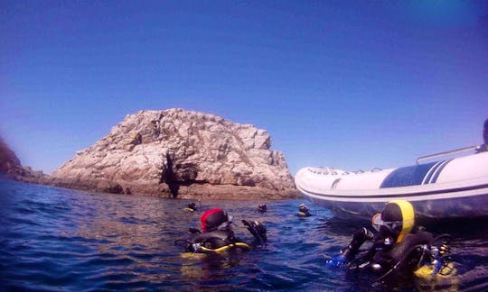 Breathing Underwater Diving Trips in Sanxenxo, Spain
