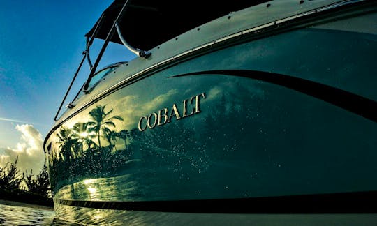 Our beautiful boat will be all yours for the day.