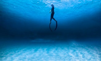 Try this Awesome Freediving Course with Professional Guides in St Paul's Bay, Malta