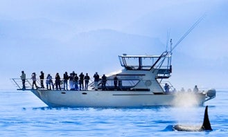 Whale Watching Tours in Southern Vancouver Island