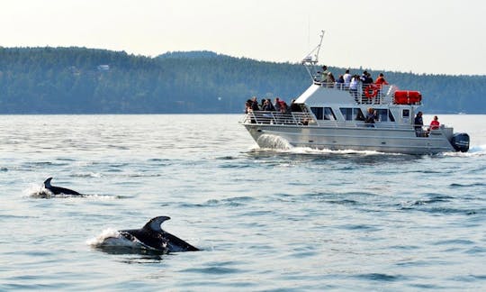 Recorrido en barco de 38 pies en Eastsound, Washington