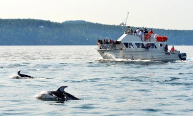 Recorrido en barco de 38 pies en Eastsound, Washington