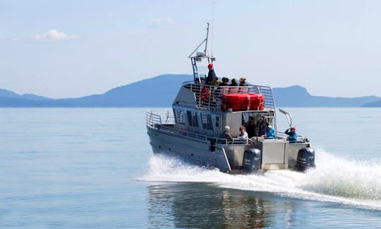 38'  Boat Tour in Eastsound, Washington